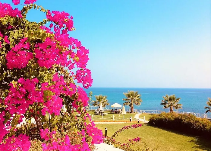 ホテル Jasmine Court Beachfront Location !